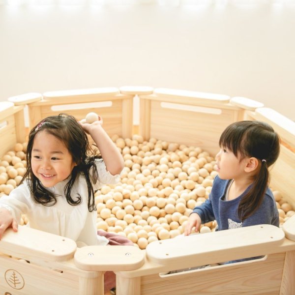 画像4: プレーンフェンス (4)